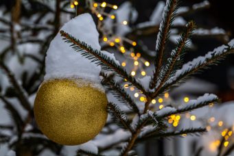 Schneeimpressionen-1200039