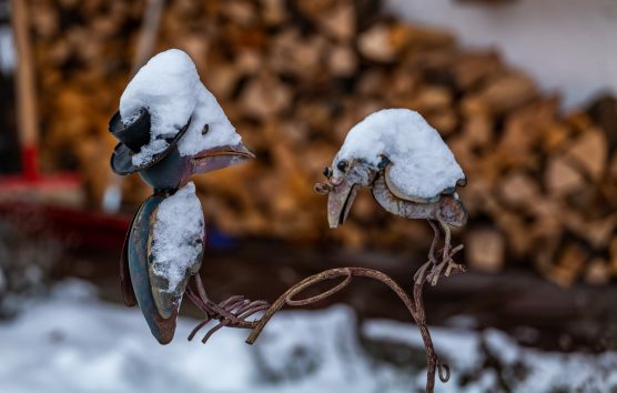 Schneeimpressionen-1200055