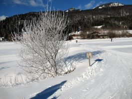 Loipenbericht Sachrang