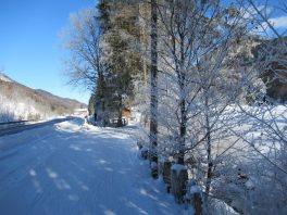Loipenbericht Sachrang