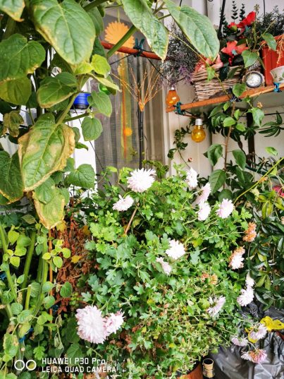 e1cf2ae7-5f51-48b7-a951-3bcc73c6dcf1