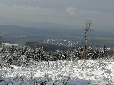 e50959ac-99a9-4989-8049-ee89d01ca3ea