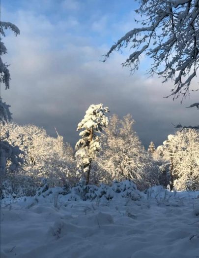 fe861901-45ac-42aa-a5b5-ef1b46d7762c