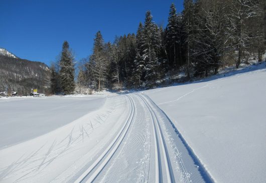 Loipenbericht Sachrang