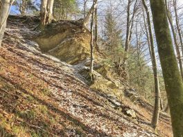 kl-1Steinbruch Frasdorf 1