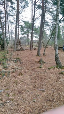 1557ec5e-d8b5-4fe7-a7da-2a94442a198a