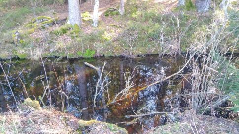 3eb4b35d-ce32-4089-a5ef-2a9df7096333