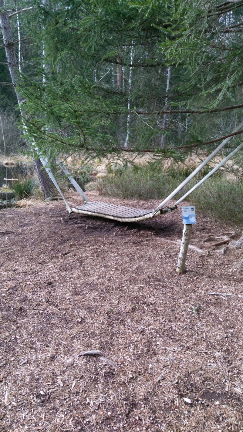 6ec00dd3-b95d-480c-9c1e-725034a509d8