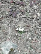 7a8a7ecd-ed7a-4080-a72e-6de8808fbe2f