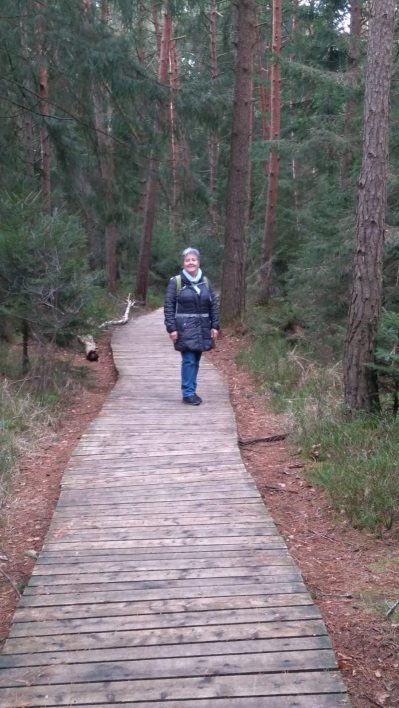 89de1ac5-005d-4adf-8005-6041cccedbac