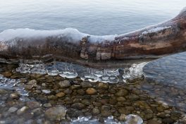 AktNatBeo-210212-ta-03_Chieming