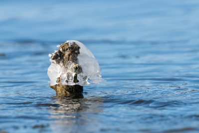 AktNatBeo-210212-ta-16_IW