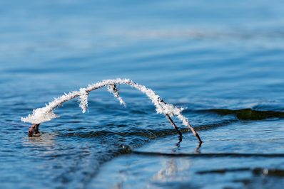 AktNatBeo-210212-ta-17_IW