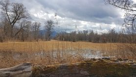 AktNatBeo-210217-hw-16_Landschaft_Hirschauer_Bucht_02.2021_20210217_132614