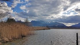 AktNatBeo-210217-hw-27_Landschaft_Irschener_Winkel_20210217_152428