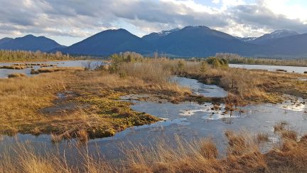 AktNatBeo-210217-hw-30_Landschaft_Moorstation_Nicklheim_20210217_163551