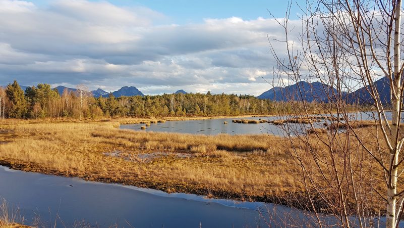 AktNatBeo-210217-hw-31_Landschaft_Moorstation_Nicklheim_20210217_163616