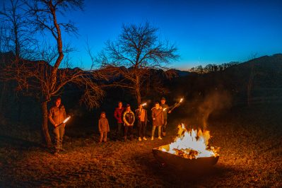 Insektenschutzgesetz-1200646