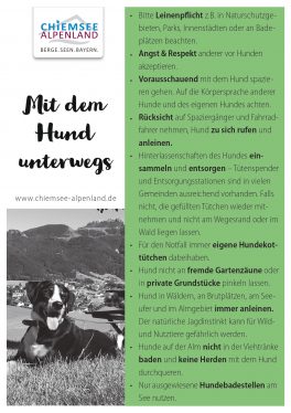 Mit dem Hund unterwegs - Chiemsee-Alpenland_page-0001