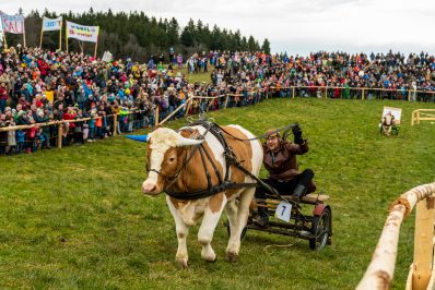 Ochsenrennen-Sieger jpg