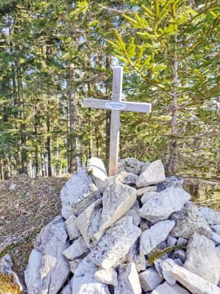 b3f79f88-5a9c-4e8c-bb43-7082933c4353