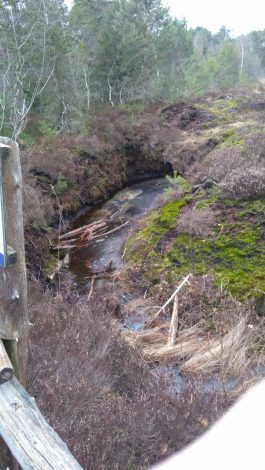 c3883cfe-1636-4a9c-a650-eaf7d011006a