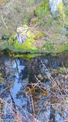 d889f80e-fea3-4f53-9b42-f007955041ae