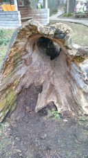 dcb7def4-1caa-43af-95f2-4885357fe049