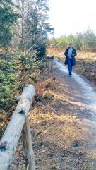 e37c1c13-99da-4883-bc69-4bf096b82e15