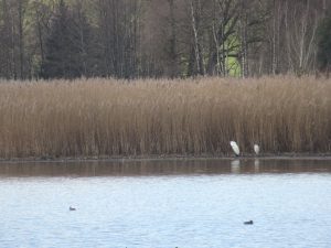 erstes Chiemseeradeln 2021