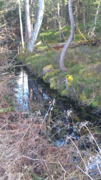 fbbc5ac1-6ca0-4189-921b-442bcc7c336b