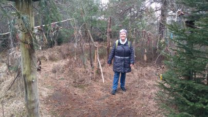 fd8998f3-b561-4612-bc04-17224a6396b2