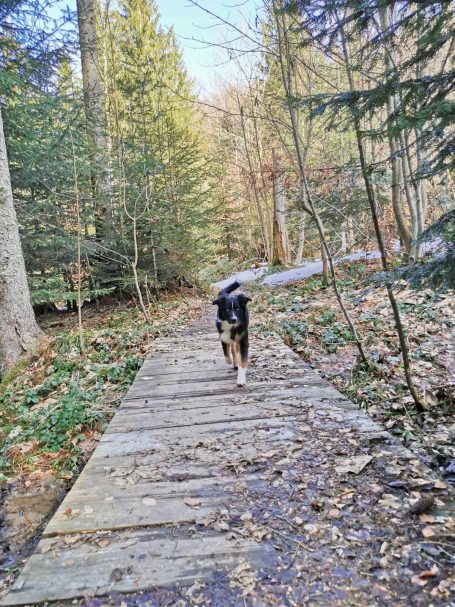 ff469156-327f-4d70-92ca-b564ea40d92e