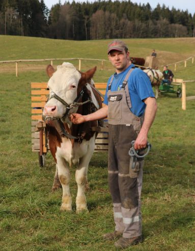 wiwa ochsenrennen training03