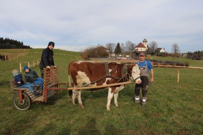 wiwa ochsenrennen training04
