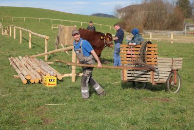 wiwa ochsenrennen training06