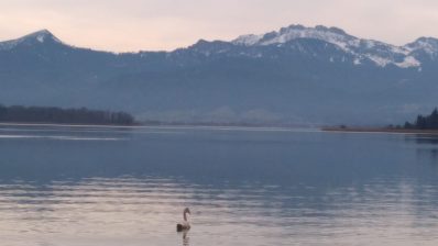 0177730b-705c-4258-a159-d114c79e3049