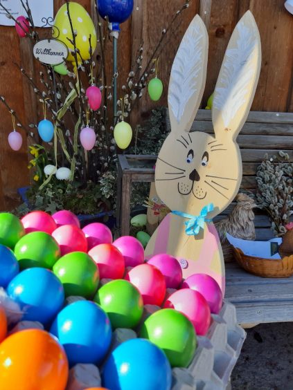 20210228_123025_resized