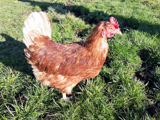 20210302_153718_resized