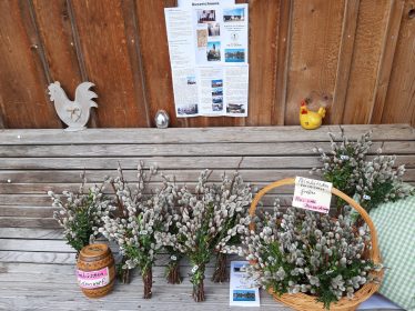 20210305_134348_resized