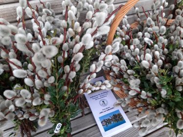 20210305_134643_resized