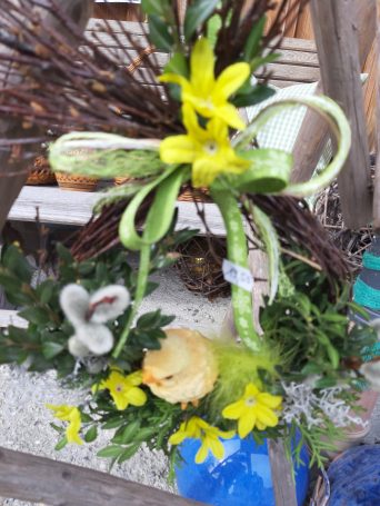 20210313_111337_resized