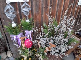 20210320_093505_resized