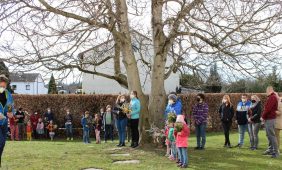 3b4dced7-daed-48e5-997a-1b7bc1df2fc7