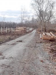 41a5dd7d-43ce-4b9c-8c17-a8d819d1d0ee