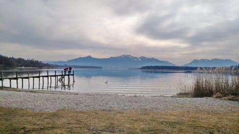 5bf497f9-76cd-47ca-9cf4-9df47da95506