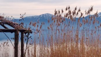 83193460-4d50-41e4-a304-72728d9aa1fd