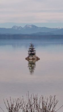 920092e8-5a1e-4202-9d22-5e6b4050df74