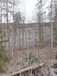 9a917aad-9bb7-48e0-a7e7-a0839de806bc