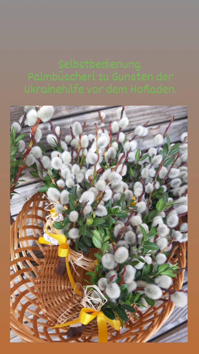 IMG_20210313_113855_853